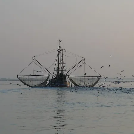 Akzent Seehof 발트룸